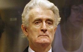 Karadžić traži objavljivanje povjerljivih nalaza Milana Babića