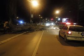 Vjetar u Banjaluci rušio stabla i izazvao požare