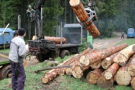 Šume RS: Ne dugujemo 20,75 miliona KM