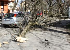 U nekoliko gradova u BiH olujni vjetar nosio sve pred sobom