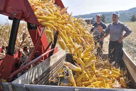 Osnivanje agro-berze vreba novu šansu
