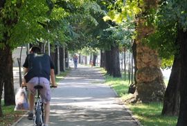 U Banjaluci ima oko 22.000 stabala
