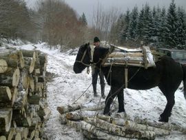 "Samarašima" hljeb sa sedam kora