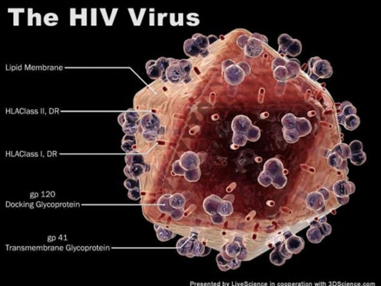 SAD: Beba izliječena od HIV-a