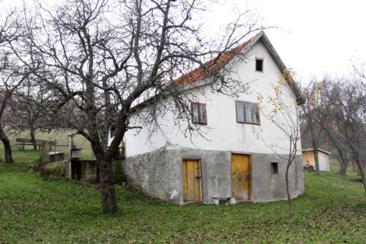 Borislavu Jariću 14 godina robije zbog ubistva bake