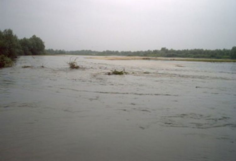 Gradiška: Sava u naglom porastu