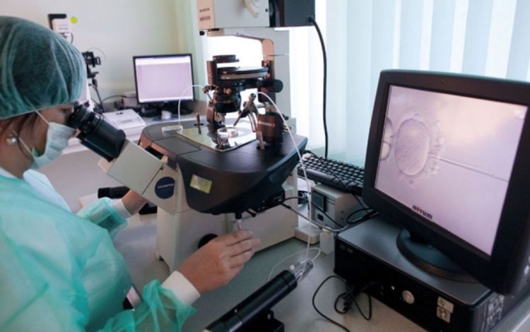 Biovještački organi spasiće milione života
