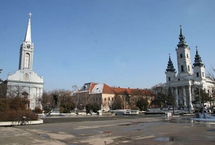 Mladić se udavio u bari