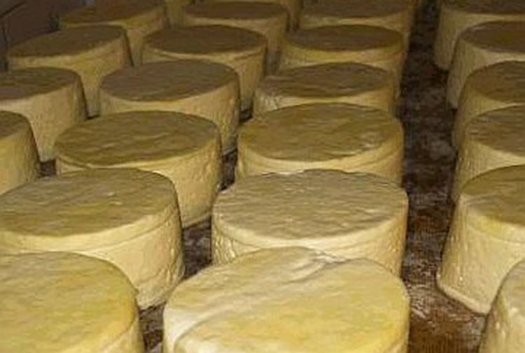 Piroćanci zaštitili kačkavalj