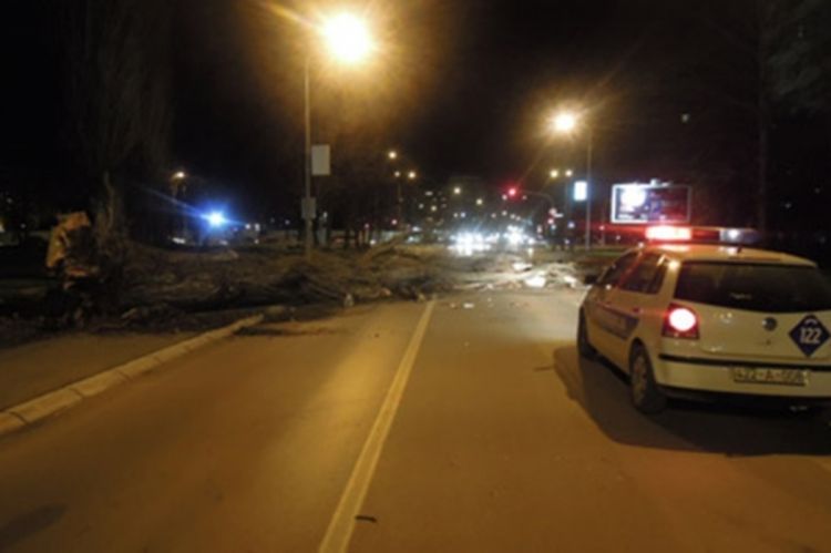 Palo drvo u centru Banjaluke