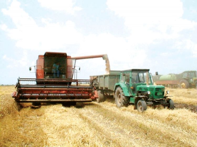 Podnijeti novu inicijativu Upravnom odboru UIO BiH