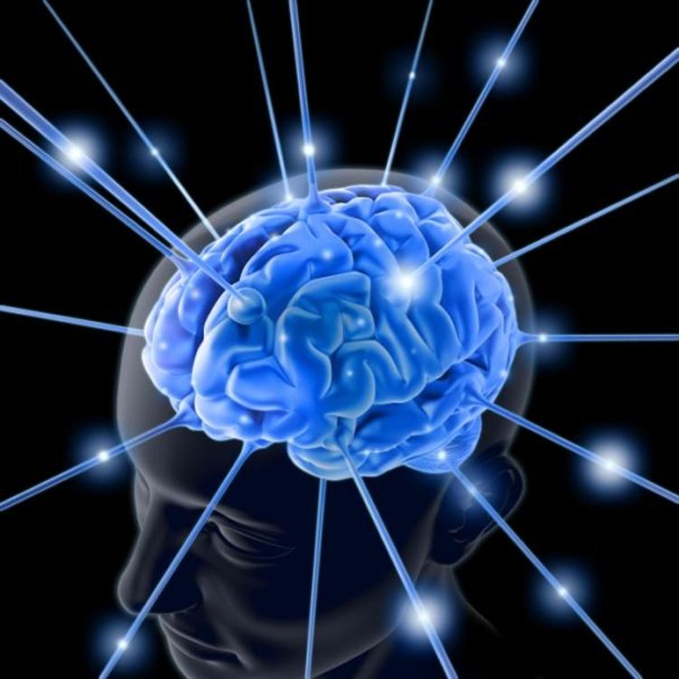 Slijedi selekcija nerođene djece po inteligenciji?