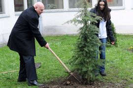 Sadnjom stabla ozvaničili akciju čišćenja i uređenja Banjaluke
