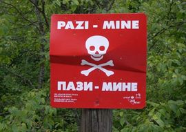 U BiH od mina stradalo 8.000 ljudi