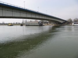 Skočio s Brankovog mosta i preživio