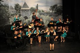 Tambura donosi muziku za dušu