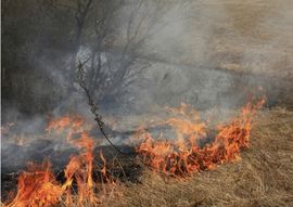 Poginuo prilikom paljenja korova