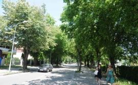 Rosulje: Novi izgled na čekanju
