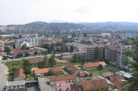 Apel za pomoć sestrama Gojić