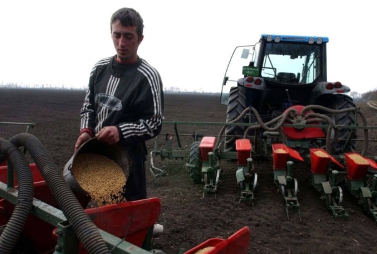 Počinje podjela plavog dizela