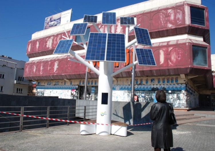 Solarno drvo u centru Prijedora "očerupano"