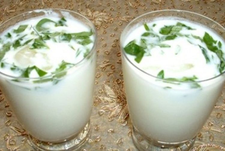 Pivo, jogurt ili rakija?