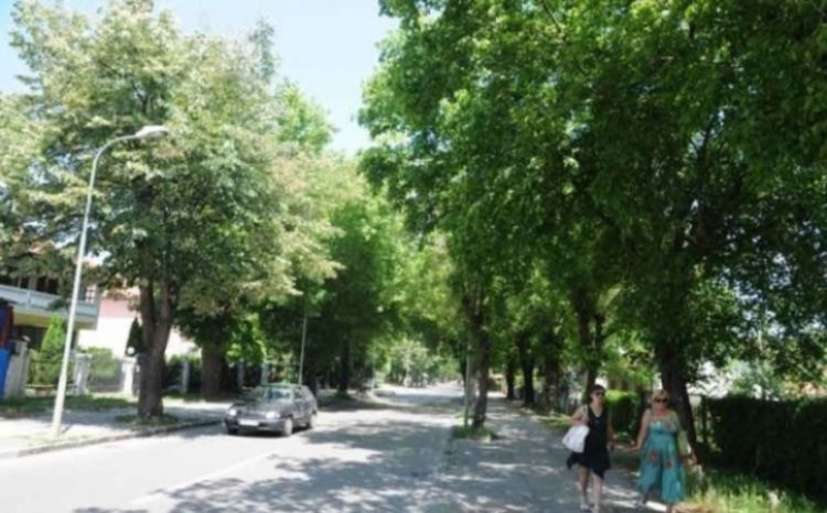 Rosulje: Novi izgled na čekanju