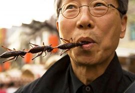 UN: Ljudi bi trebalo da jedu insekte