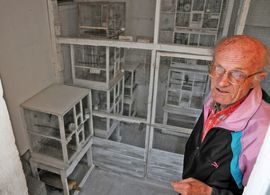 Banjalučanin pet decenija živi s egzotičnim pticama
