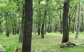 Dobar odnos sindikata i drvoprerađivača