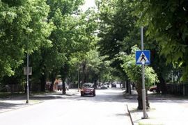Banjaluka: Građani ponovo dižu glas protiv sječe drvoreda