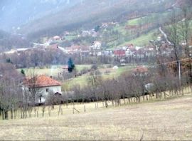 Pastir stoji u BiH, stoku napasa u Srbiji, a naveče životinjama nudi ...