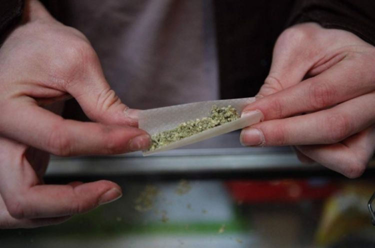 Uskoro legalizacija marihuane i u "rekreativne svrhe"
