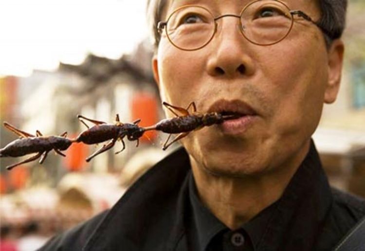 UN: Ljudi bi trebalo da jedu insekte