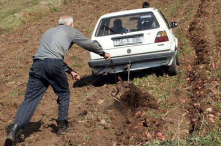 Upregao golfa i ore njivu