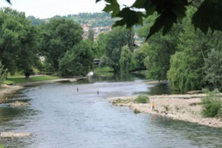 Inicijativa nezaposlenih Banjalučana: Uredićemo Vrbas za 900.000 KM