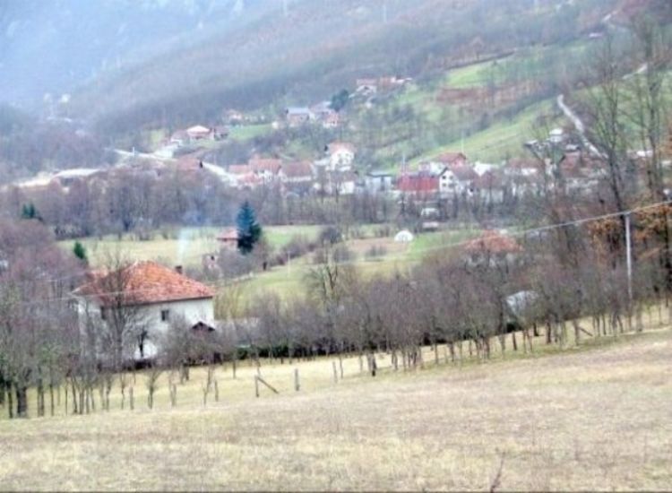 Pastir stoji u BiH, stoku napasa u Srbiji, a naveče životinjama nudi travu iz Crne Gore