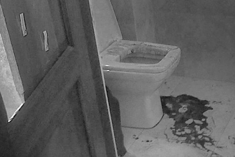 Procurili snimci sa mjesta zločina u kući Pistorijusa