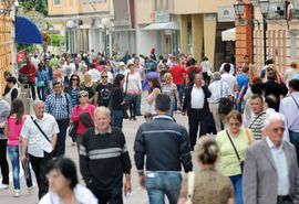 Volonteri ih vuku za rukave