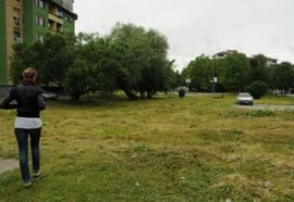 Banjaluka: Zmija ugrizla dječaka na Starčevici