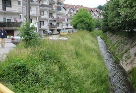 Banjaluka: Zmije vrebaju iz zaraslih korita