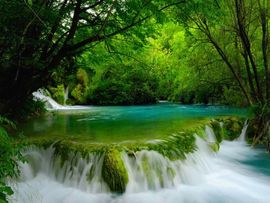 Nacionalni park Plitvička jezera: Harmonija jezera i šume