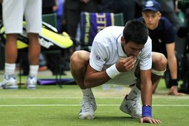 Nole bi ponovo da jede travu