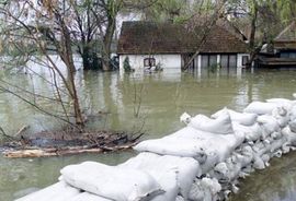 Fijatom ubio devetogodišnju djevojčicu