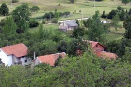 Nezapamćena pojava kod Grahova: Cesta krvava od pregaženih skakavaca