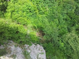 Autobus sletio sa mosta kod Podgorice, ima poginulih