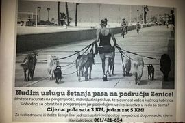 Pravnica šeta kućne ljubimce