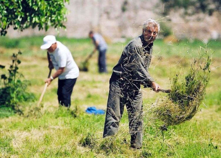 Dnevnica do 40 KM, a niko neće da radi