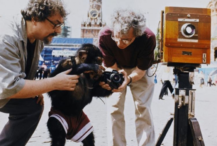 Fotografije čimpanze fotografa prodate za 50.000 funti