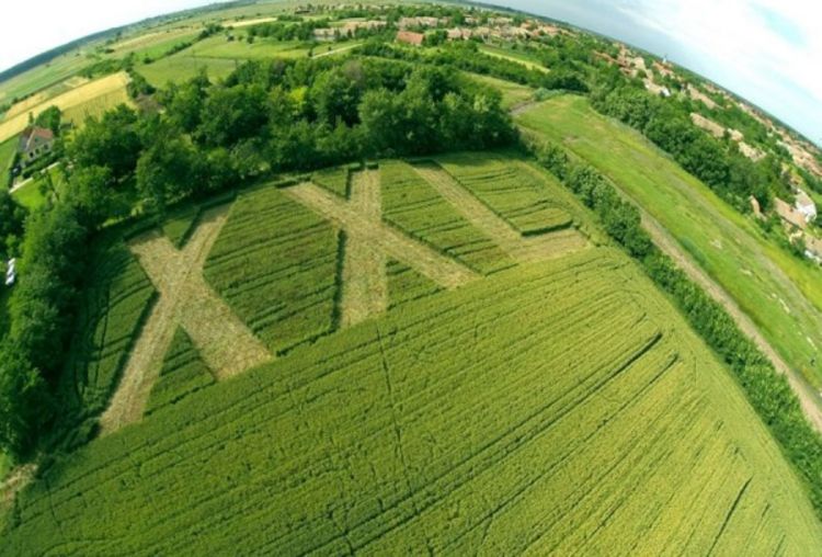 Vanzemaljci kod Pančeva? Pogledajte XXL znak u polju nadomak Kovačice 